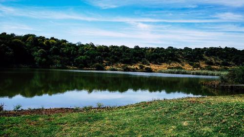 Lodge @ Bankenkloof Private Game Reserve