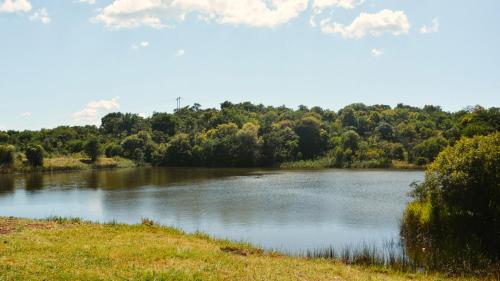 Lodge @ Bankenkloof Private Game Reserve