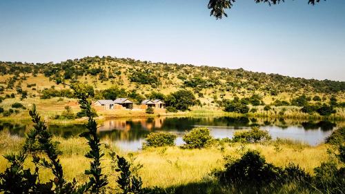 Lodge @ Bankenkloof Private Game Reserve