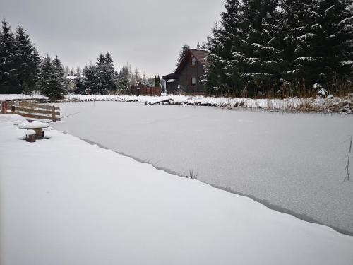 Domki Zielony Winiec - Mazury