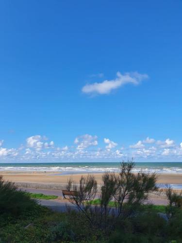 Cabourg Seaside With Tennis And Swimming Pool