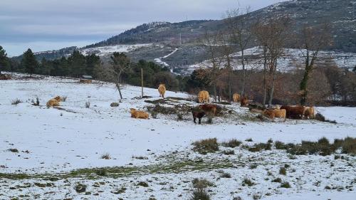 Quinta de Santo Estêvão Hotel Rural - image 9