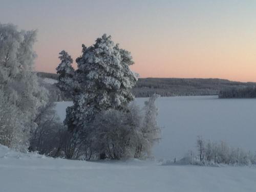 Bakgården i Revsund