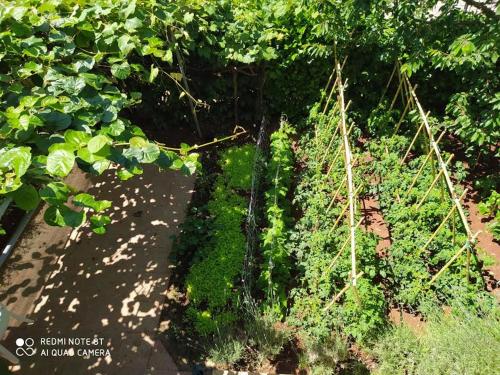  Apartman Snježana in Fažana