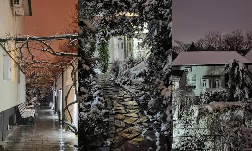 Zona Apartments Zrenjanin - image 7