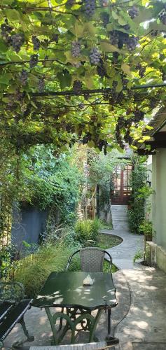 Los Tarcos Guest House in 바리오 알토 파디야