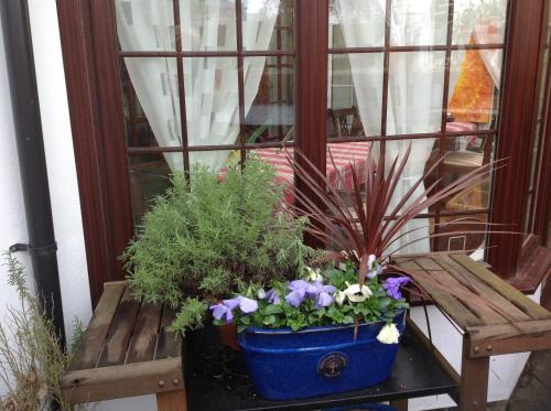 The Laurels Bed and Breakfast - image 3