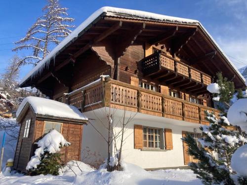  Rose de Noël in Les Diablerets