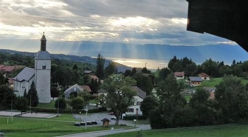 Balcony of lake Geneva - Apartment - Thollon-les-Mémises