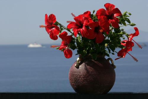 安德罗斯假期酒店 安德罗斯假期酒店