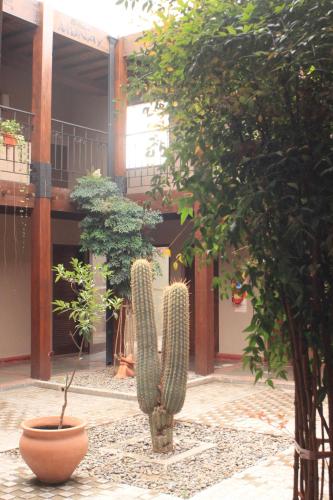 Munay Hotel Cafayate