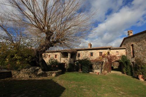 B&B Todi - Antico Gelso - Bed and Breakfast Todi