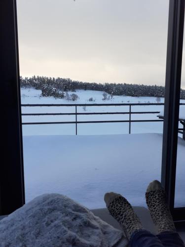 Gîte de fontanes aubrac Margeride loups du gevaudan Lozère (Gite de fontanes aubrac Margeride loups du gevaudan Lozere) in Laguiole