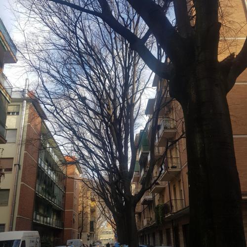 Laghirla, Modena (zdjęcie 3)