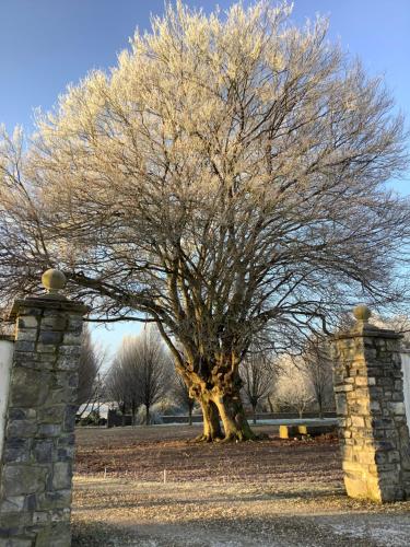 The Carriage Houses at Beechpark House - image 13