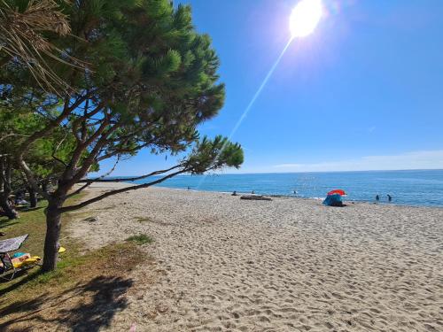 Camping Arinella Bianca photo 19