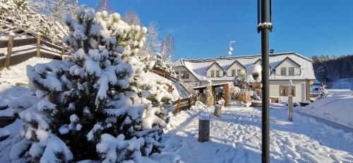 hotel ZLATÝ POTOK (hotel ZLATY POTOK) in Nicova