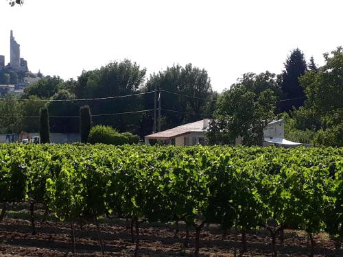 La Petite Maison Dans Les Vignes