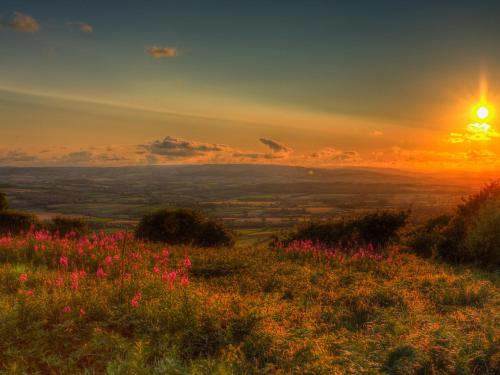 The Linhay - image 3