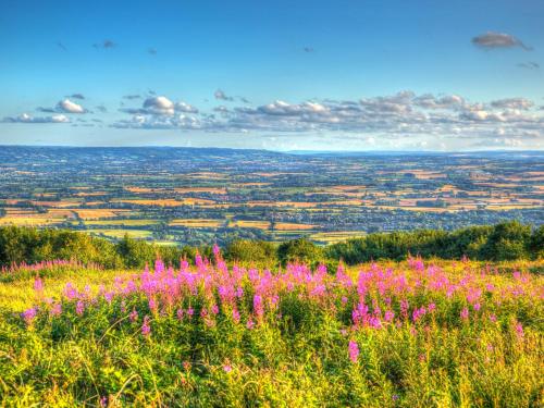 The Linhay - main image