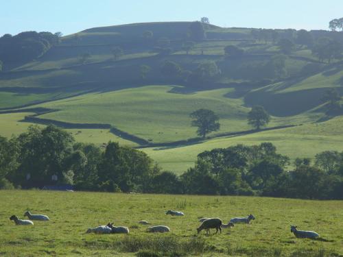 The Linhay - image 13