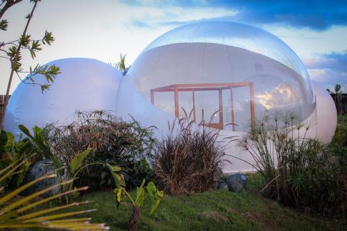 Green Land Bubble Glamping