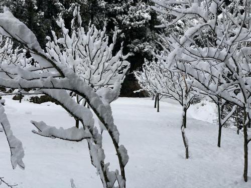 Abode Home Cool & Homely Place – Manali, PA