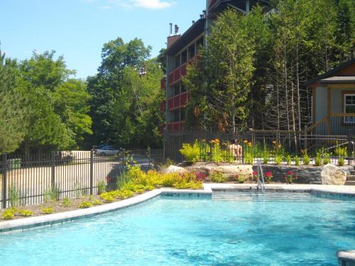 Bernache, Mont-Tremblant (photo 8)