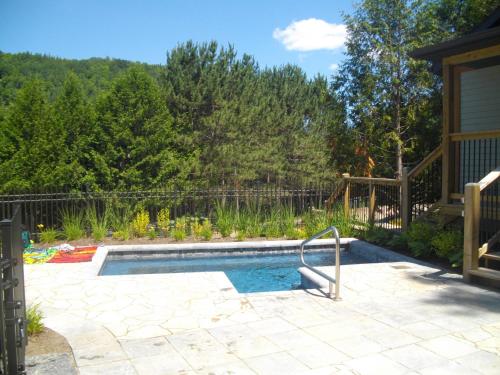 Bernache, Mont-Tremblant (photo 9)