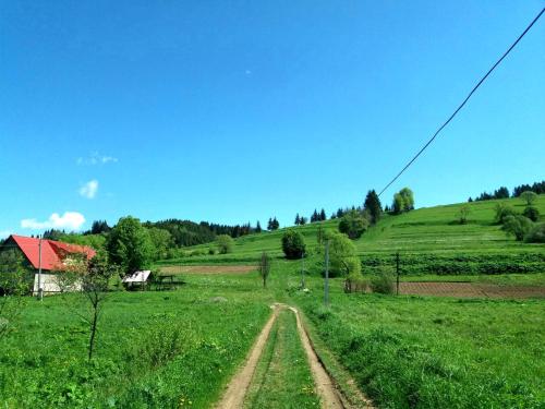 Gostynna Rodyna - image 5