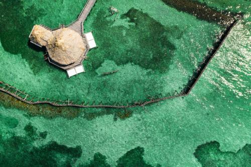 Thatch Caye Resort