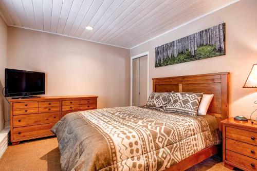 Panorama Alpine 304, Breckenridge (foto 10)