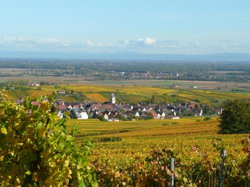 Le GM Maison de Vacances en Alsace - Chambre d'hôtes - Mittelwihr