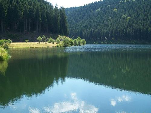 Apartment with forest in Goldisthal Thuringia