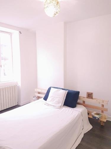 Charmant Logement a Vierzon, proche de toutes commodite's et parkings gratuits a proximite' 3