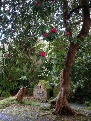 The Waterwheel - image 11