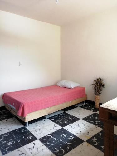 Selvática Alojamiento Eco – Medellin, VT