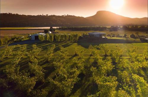 Orchard Cottage - modern Australian Sunshine Coast holiday cottage on organic farm nr beach