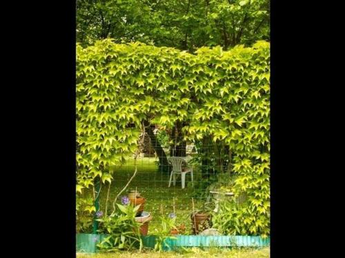 Ferienwohnung Am Ginkgobaum Ferienwohnung Am Ginkgobaum
