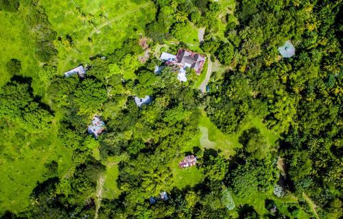 Balenbouche Estate Laborie Saint Lucia