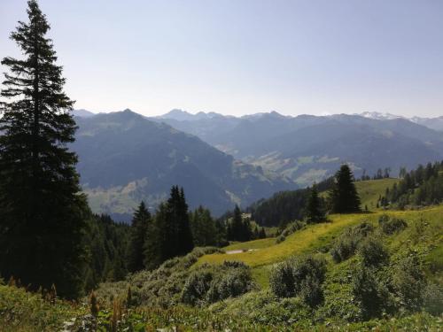 運動及活動, Appartement Tauernlife in 聖維伊恩蓬高