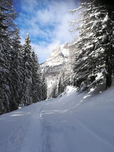  Vista Pelmo in Colle Santa Lucia