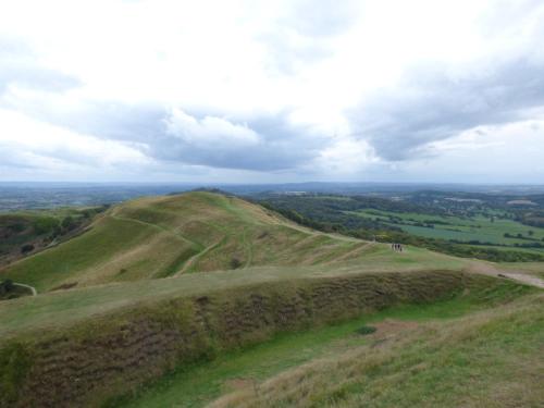 Bay Tree Cottage - image 5