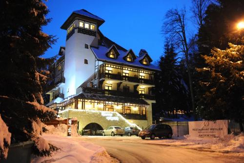 Hotel Foisorul cu Flori 1