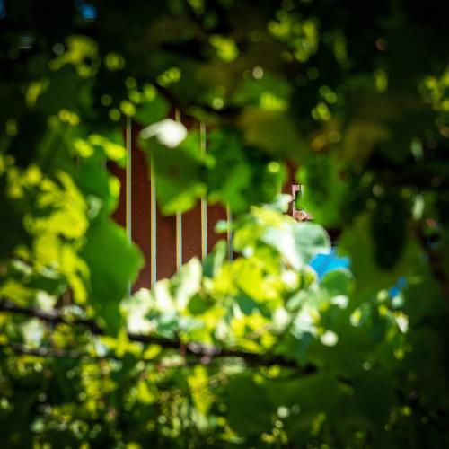 Deluxe Double Room with Extra Bed