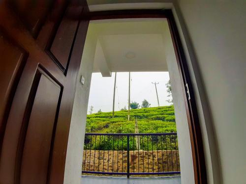 Flamingo's Nuwara Eliya