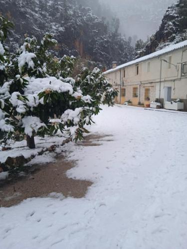 Casa rural La Libelula Ayna