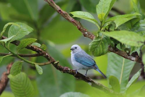 Elegant Home in Private Ecological Property, with Private River - Bird Watching 240 Bird Species