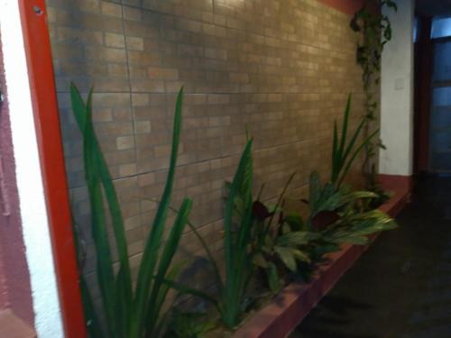 ทางเข้า, Hotel Faf's Interlagos - SP in ซิดาเด ดูตรา