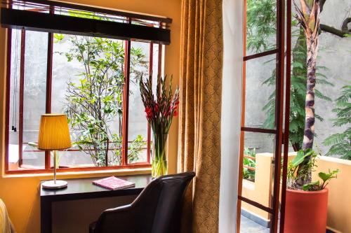 The Red Tree House in Mexico City, Mexico